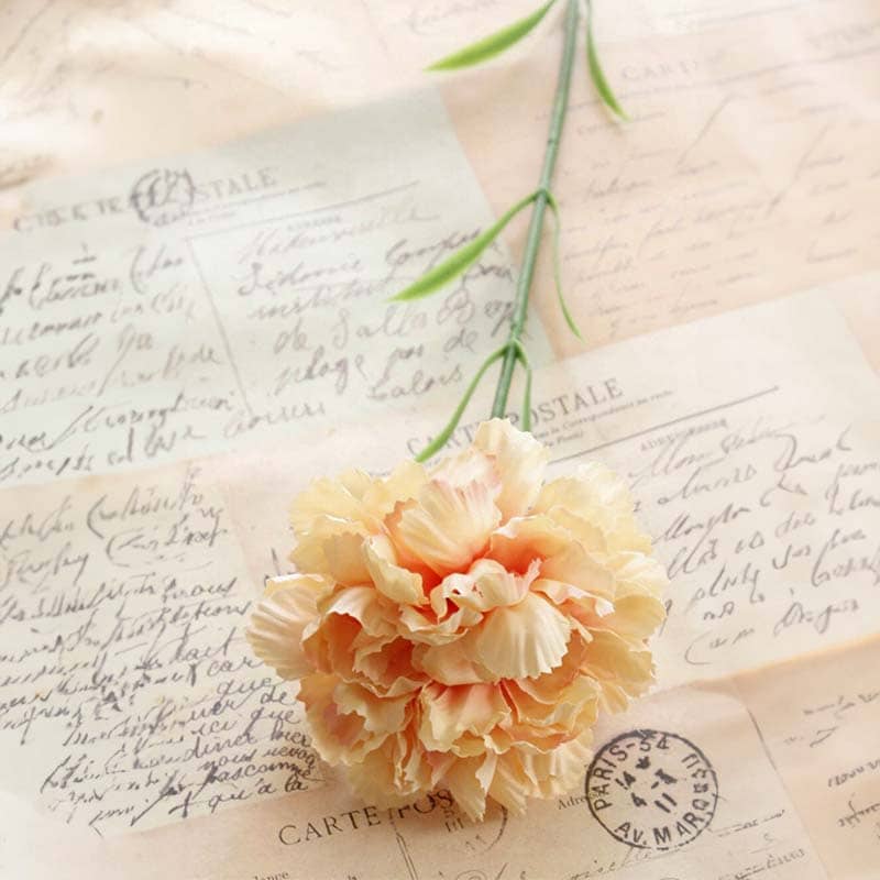 Fleur Carnation Champagne