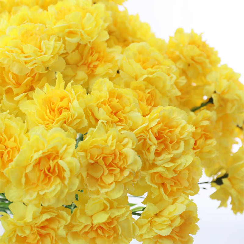 Fleur Carnation Déco