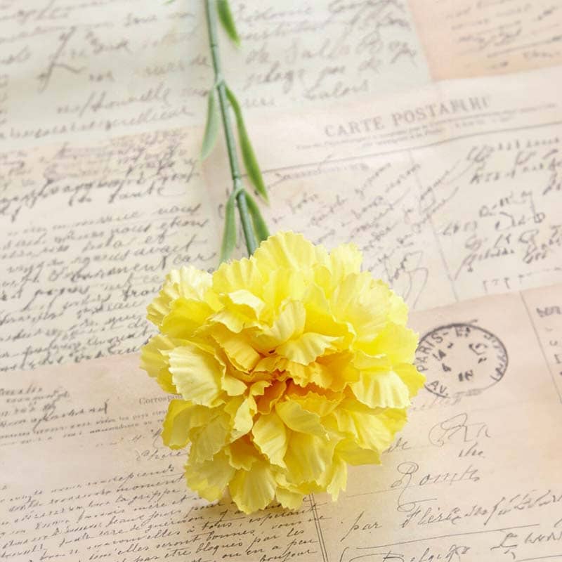 Fleur Carnation Jaune