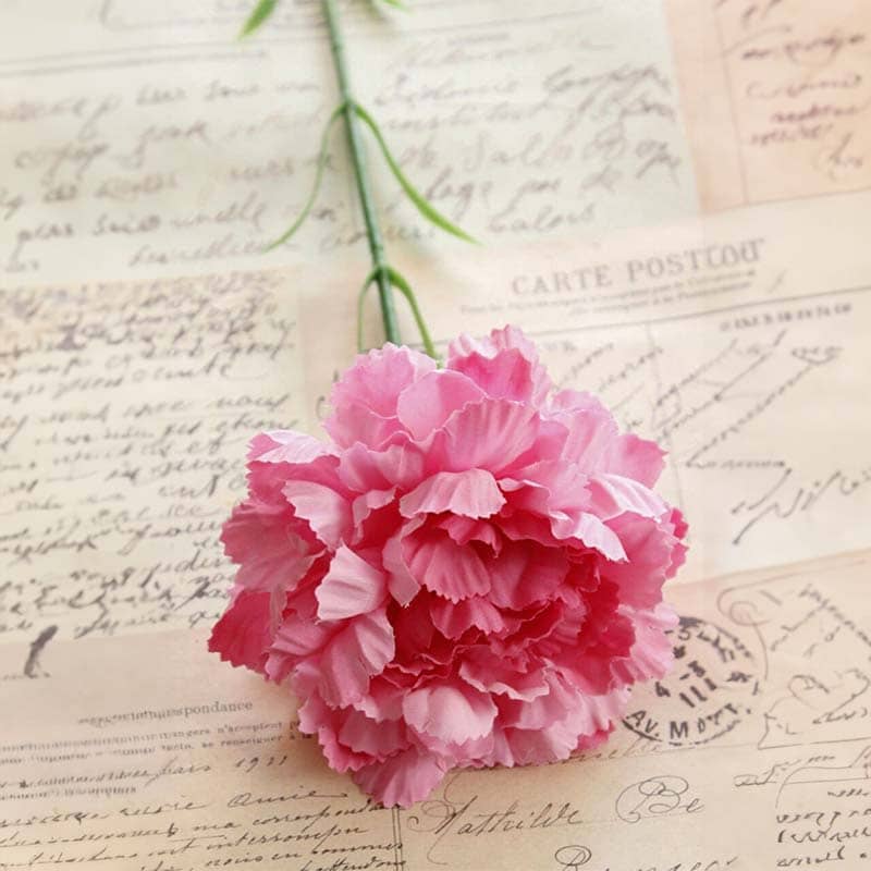 Fleur Carnation Rose