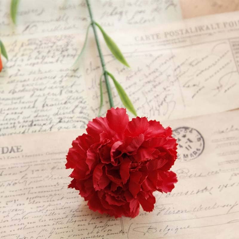 Fleur Carnation Rouge