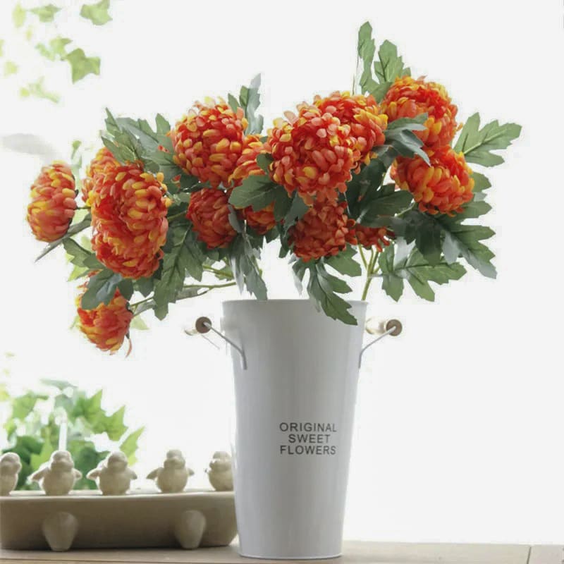 Fleur Chrysanthème Intérieur