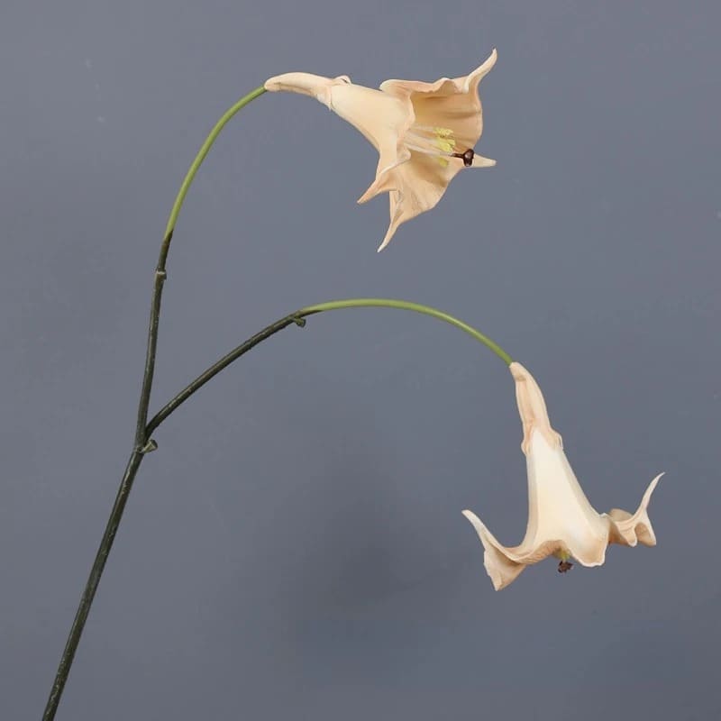 Fleur Datura Artificielle Champagne