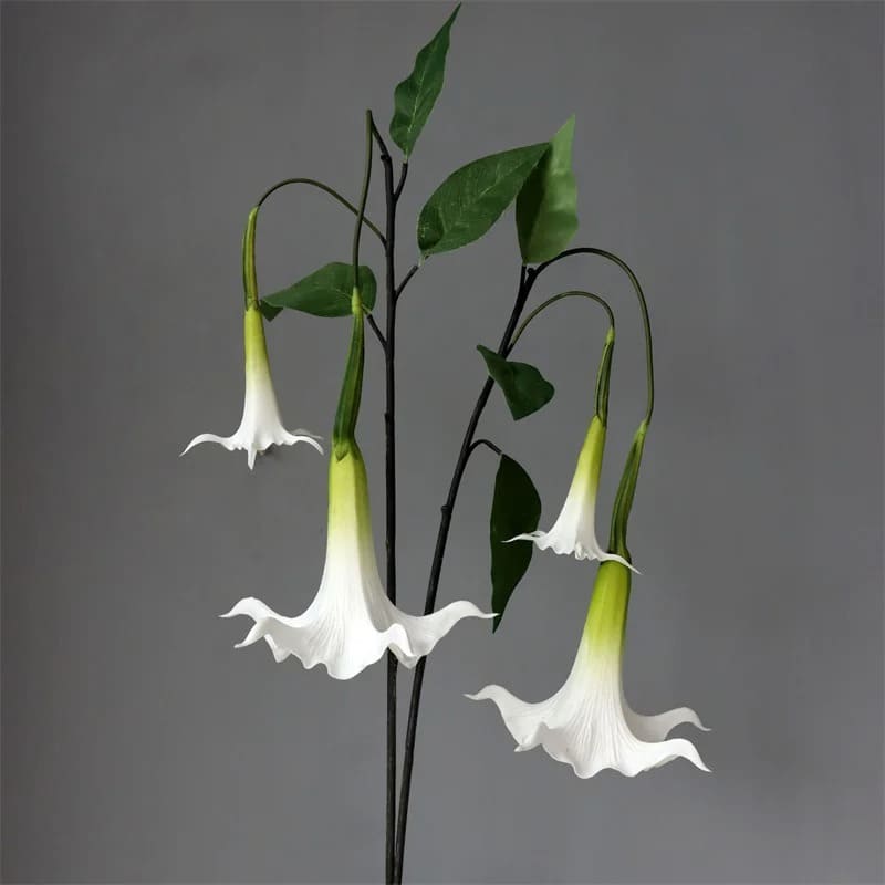 Fleur Datura Blanc