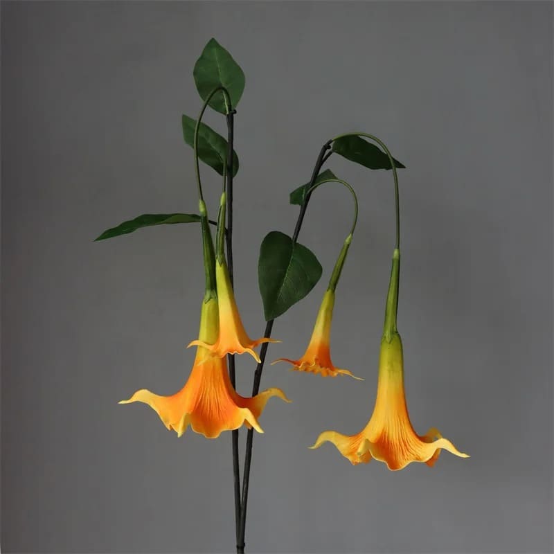 Fleur Datura Orange