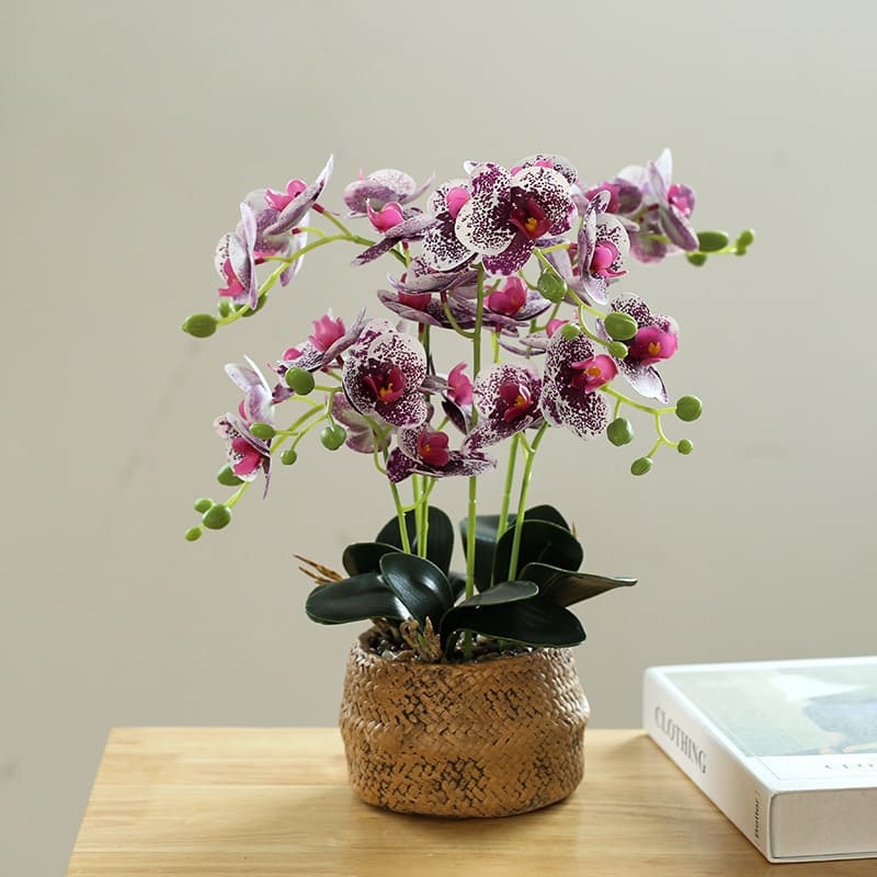 Fleur Orchidée Pourpre Foncé Blanc