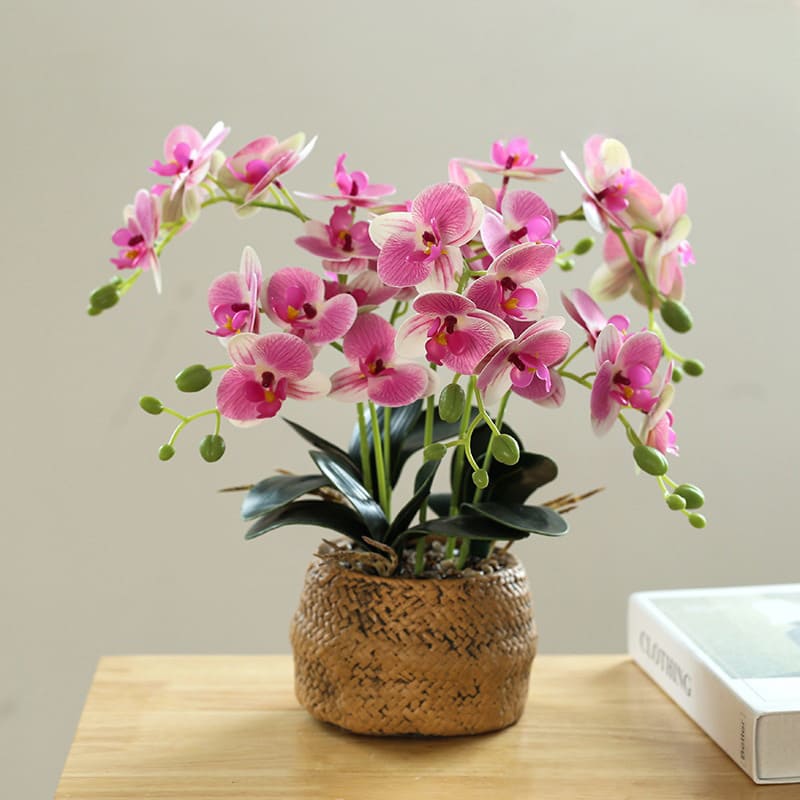 Fleur Orchidée Rose