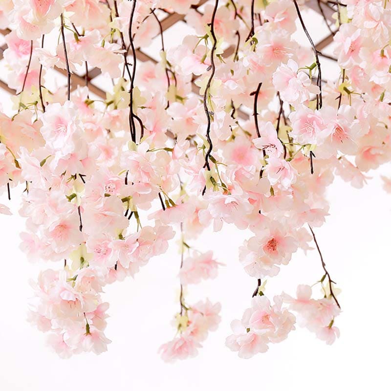 Fleur de Cerisier Japon Tombantes