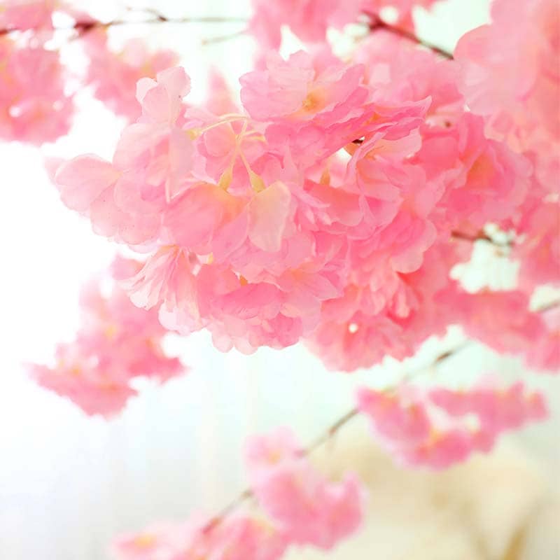 Fleur de Cerisier Japonais Déco