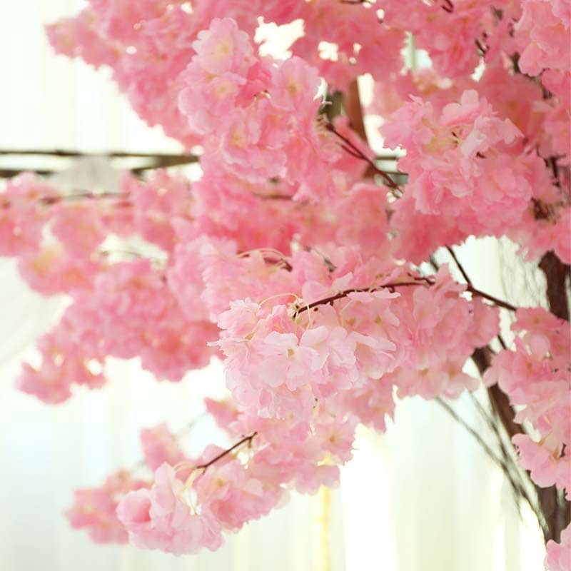 Fleur de Cerisier Japonais Rose