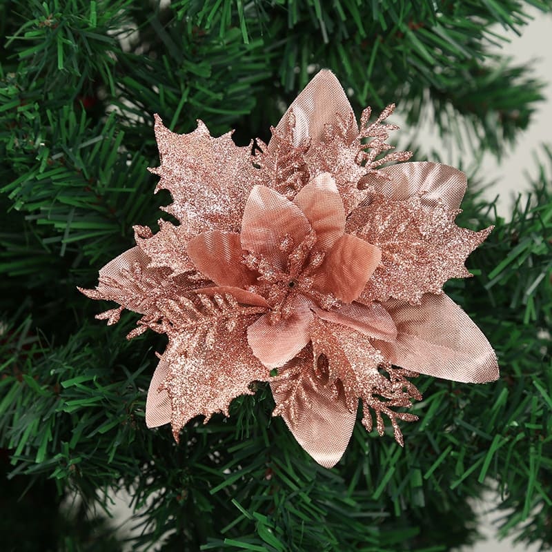 Fleur de Noël Champagne
