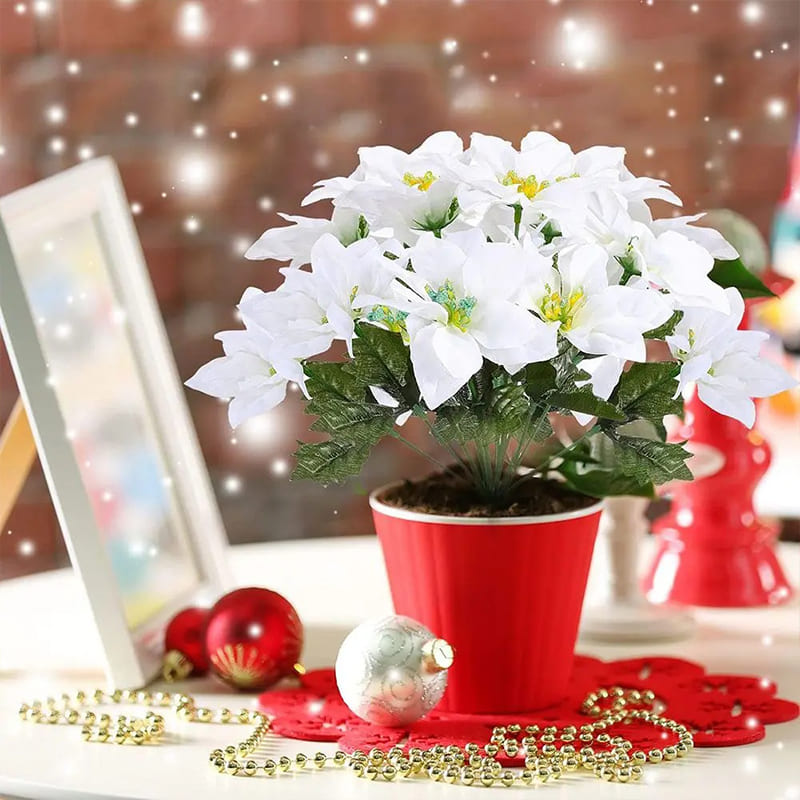 Fleur de Noël Poinsettia Intérieur