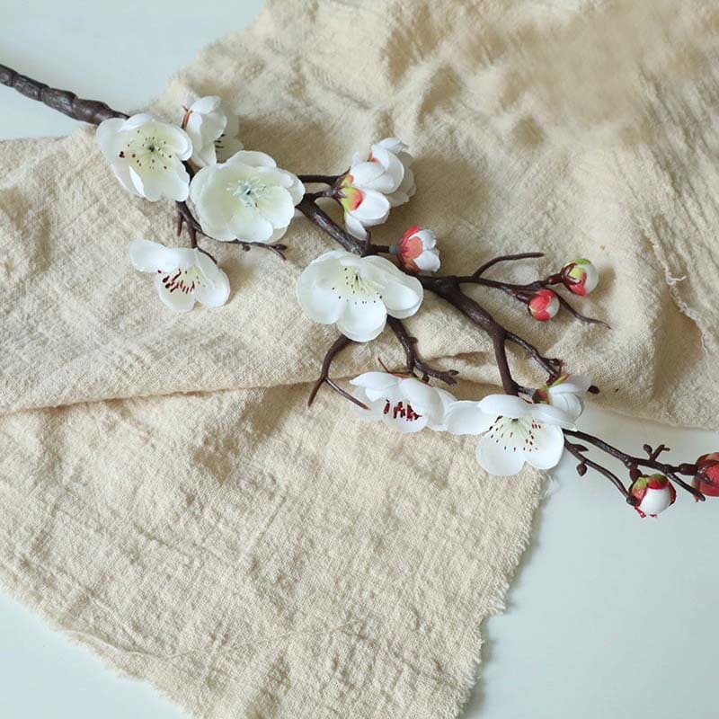 Fleur de Prunier Blanc