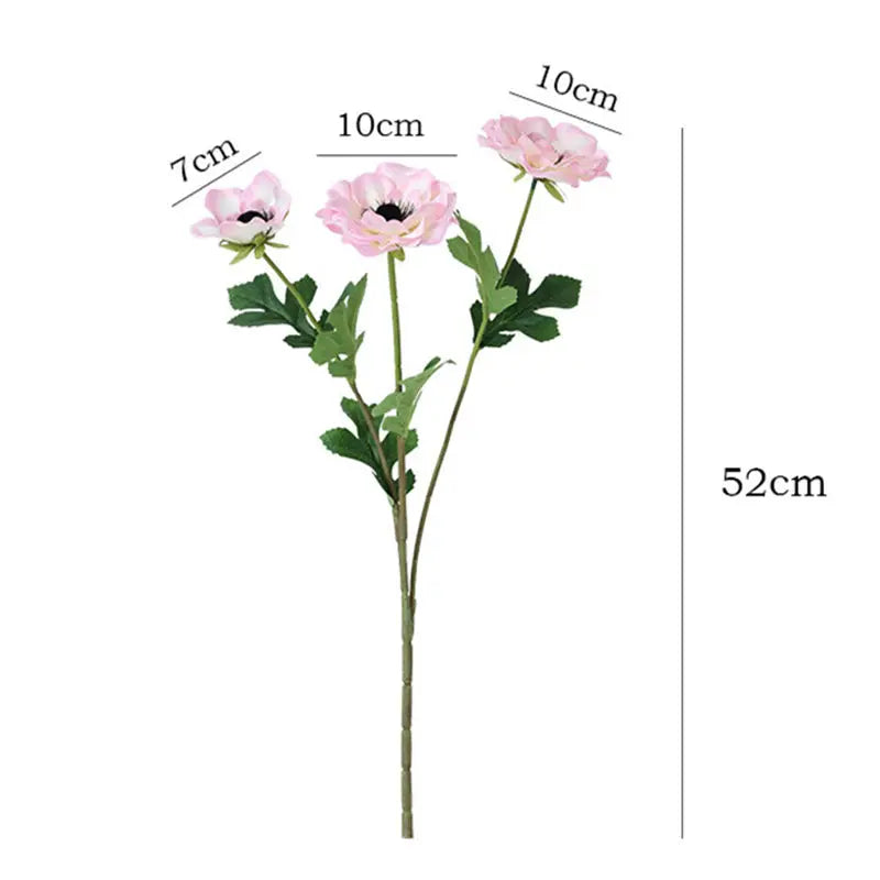 Fleurs Anémone