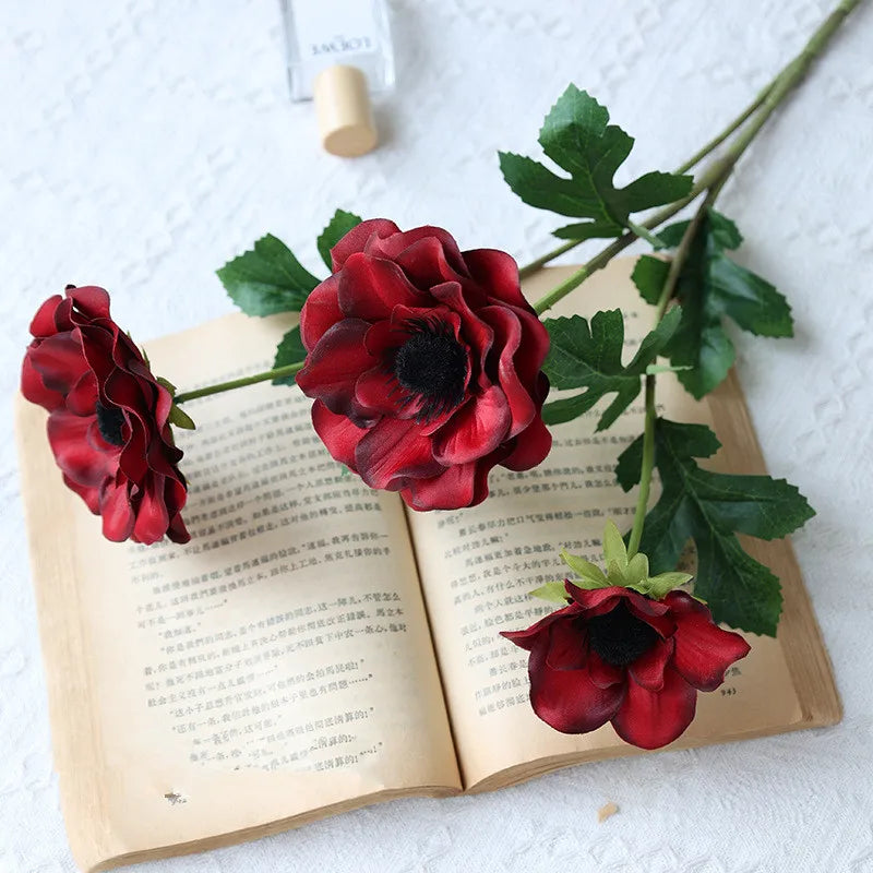 Fleurs Anémone