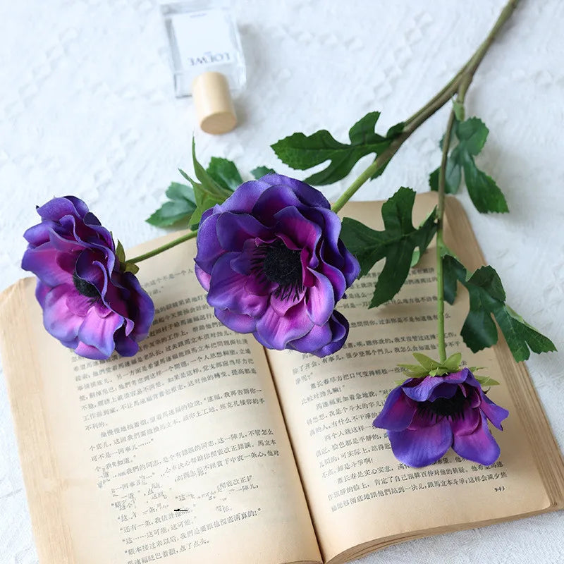 Fleurs Anémone