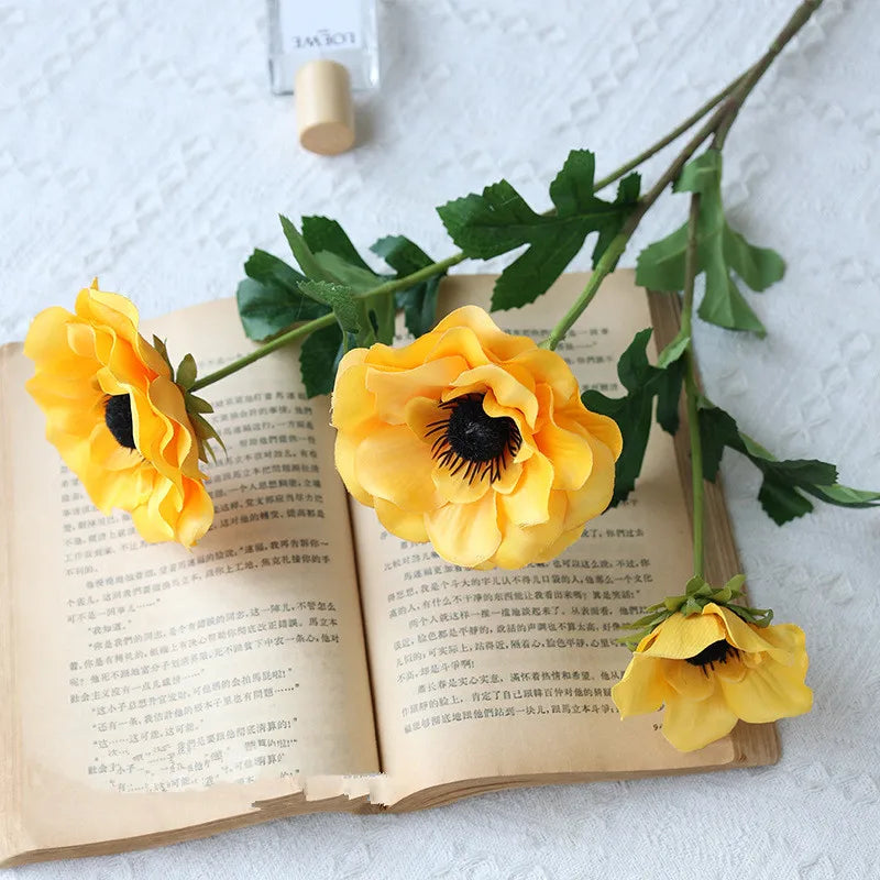 Fleurs Anémone