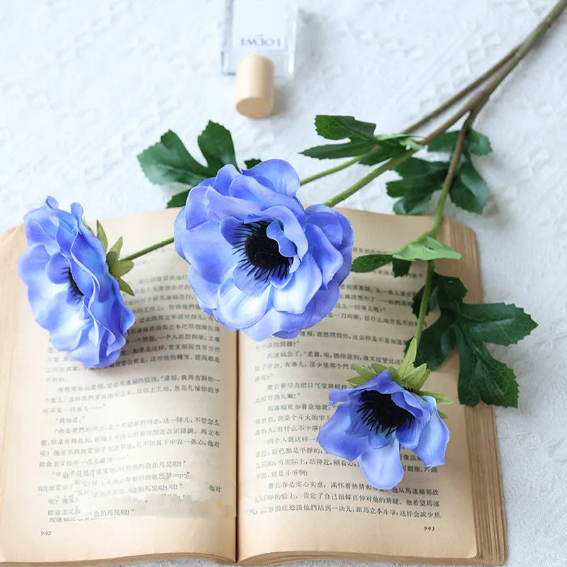 Fleurs Anémone