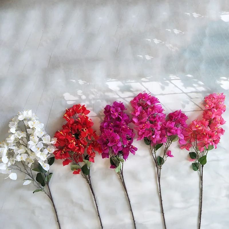 Fleurs Bougainvillier Bouquet