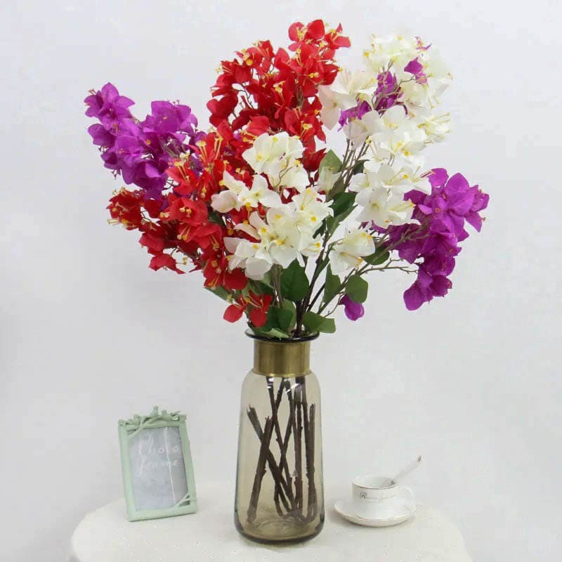Fleurs Bougainvillier Vase