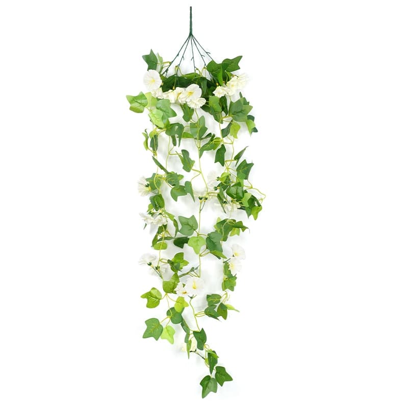 Fleurs Morning Glory Tombantes Blanc