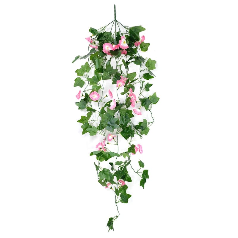 Fleurs Morning Glory Tombantes Rose et Blanc