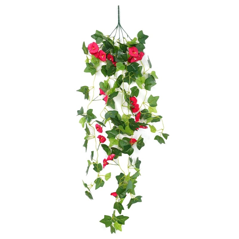 Fleurs Morning Glory Tombantes Rose Foncé