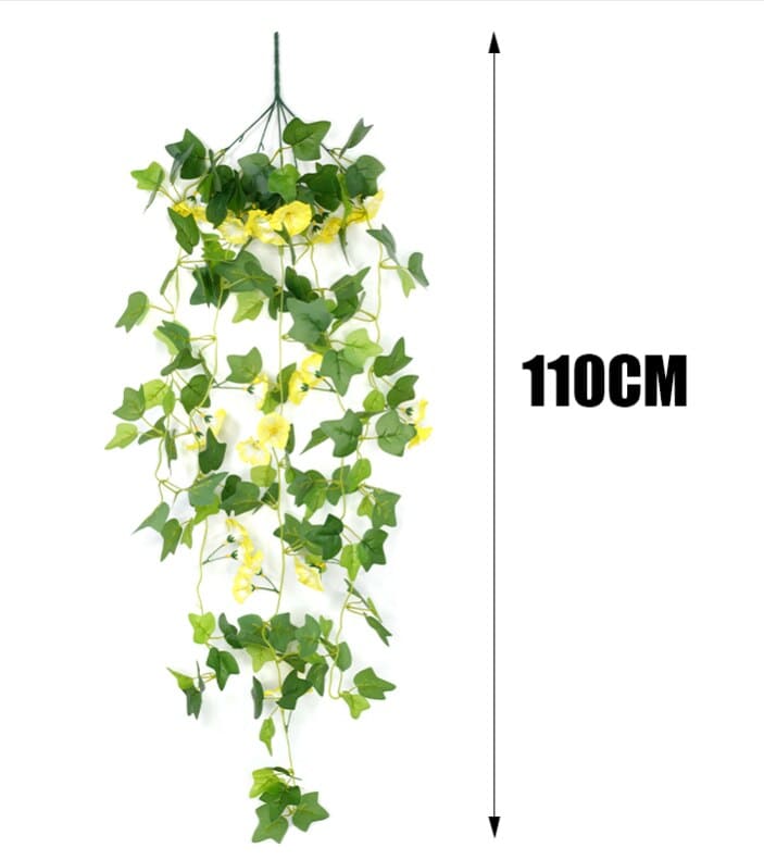 Fleurs Morning Glory Tombantes