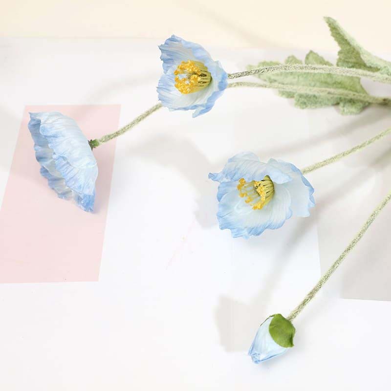 Fleurs de Pavot Bleu Clair