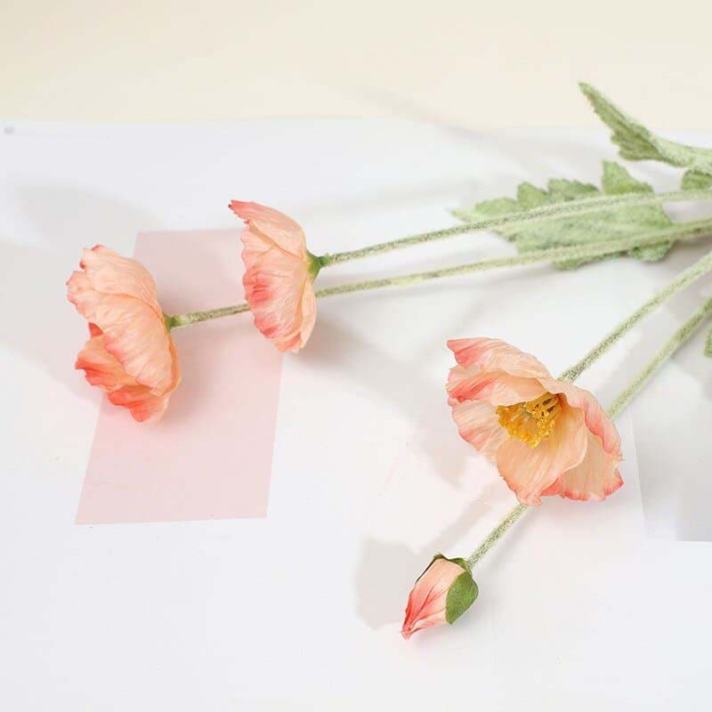 Fleurs de Pavot Pêche