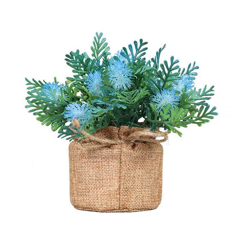 Fougère en Pot Bleu