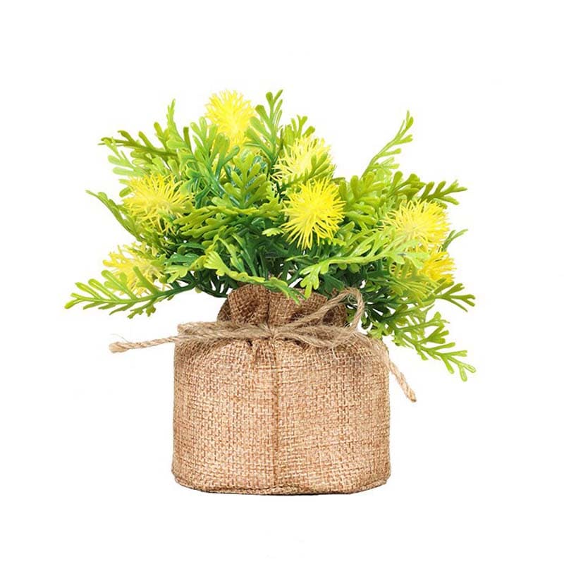 Fougère en Pot Jaune