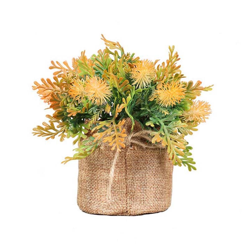 Fougère en Pot Orange