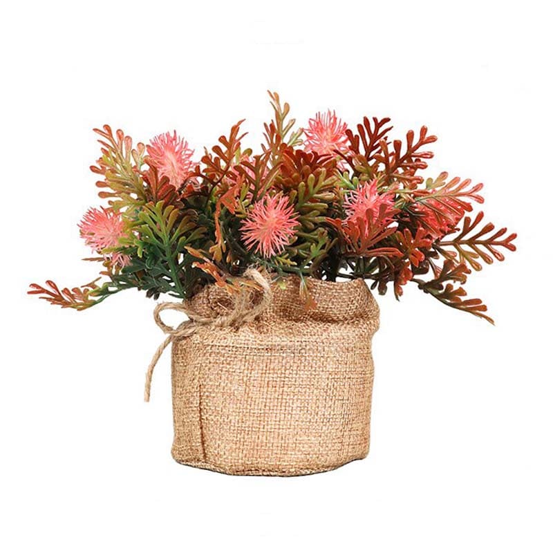 Fougère en Pot Rouge