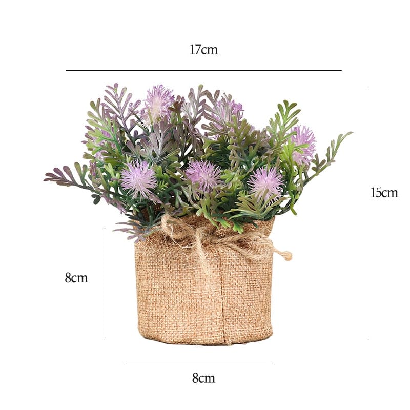 Fougère en Pot Taille