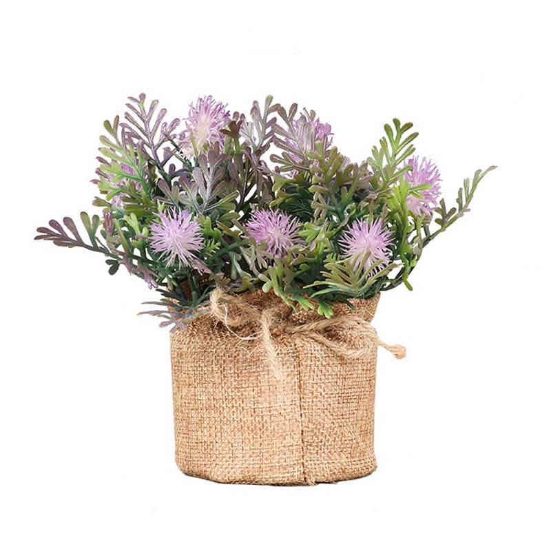 Fougère en Pot Violet
