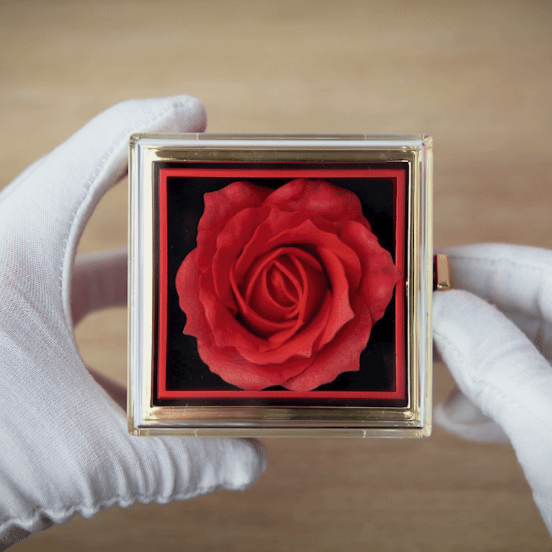 GIF Coffret Rose Éternelle avec Collier Personnalisé