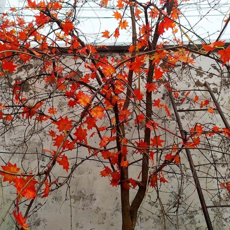 Guirlande de Feuilles d'Automne Arbre