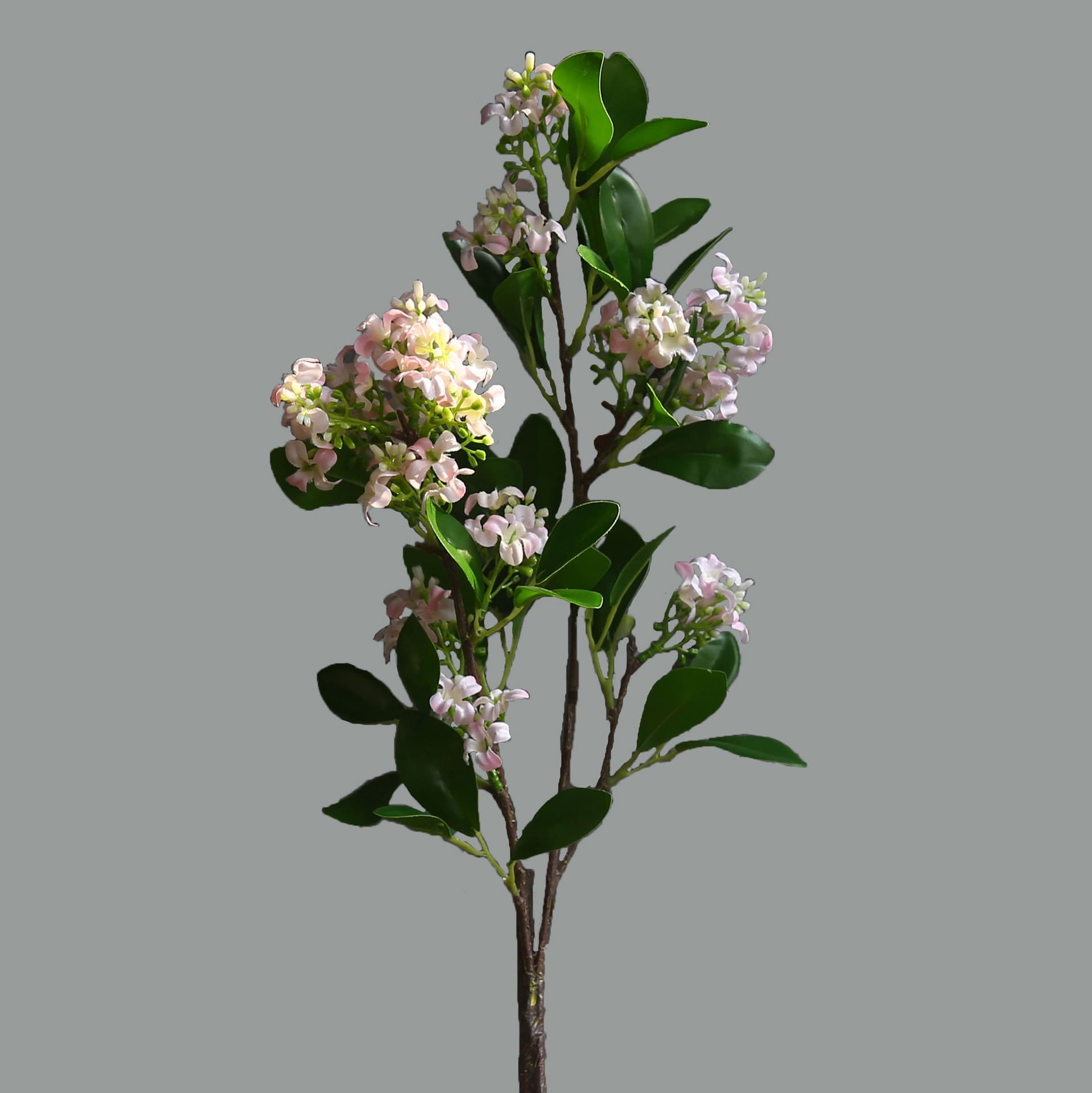 Jasmin Artificiel Rose
