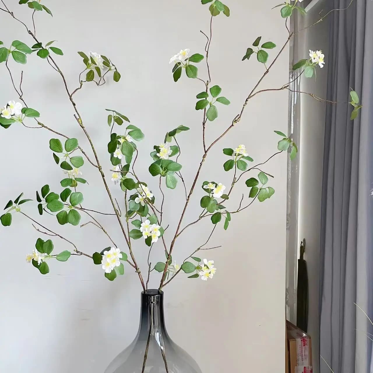 Lignum Vitae