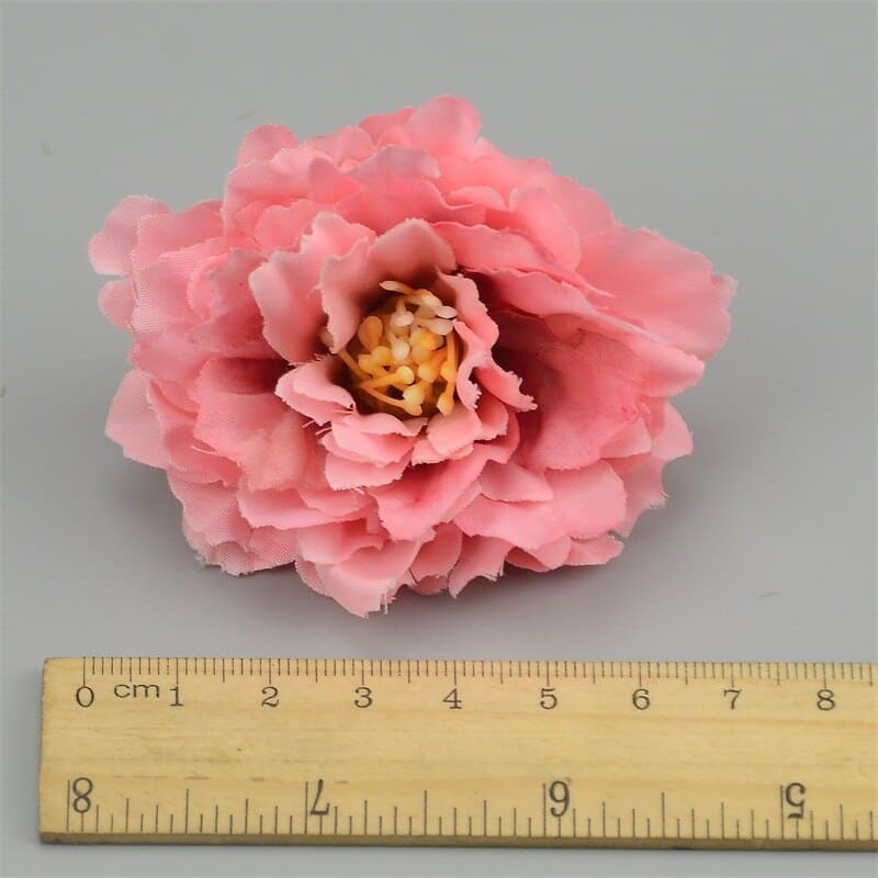 Mini Œillets Fleurs Taille