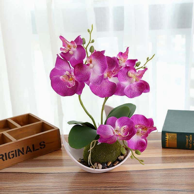 Mini Orchidée Violet