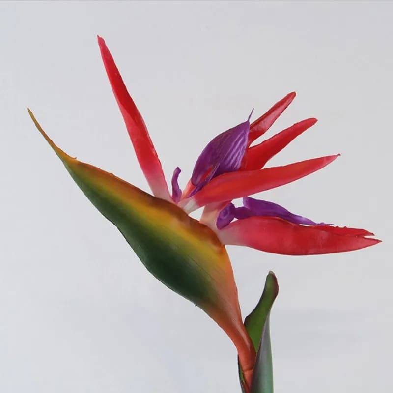Oiseau de Paradis Artificiel Rouge