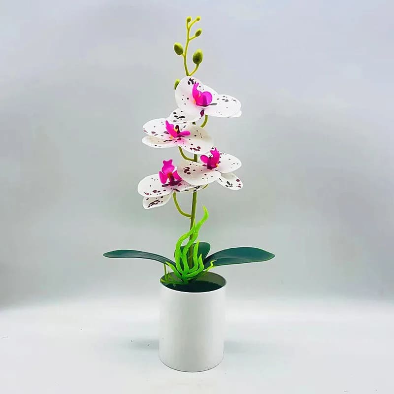 Orchidée Artificielle Pas Cher Blanc