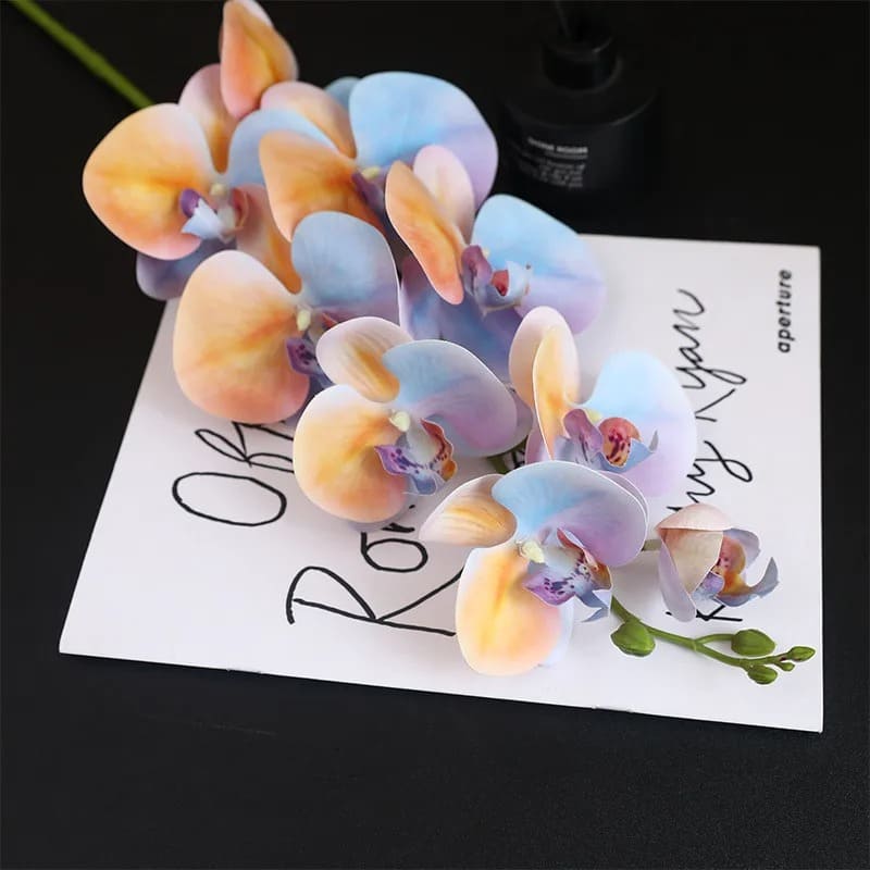 Orchidée Originale Bleu Orange