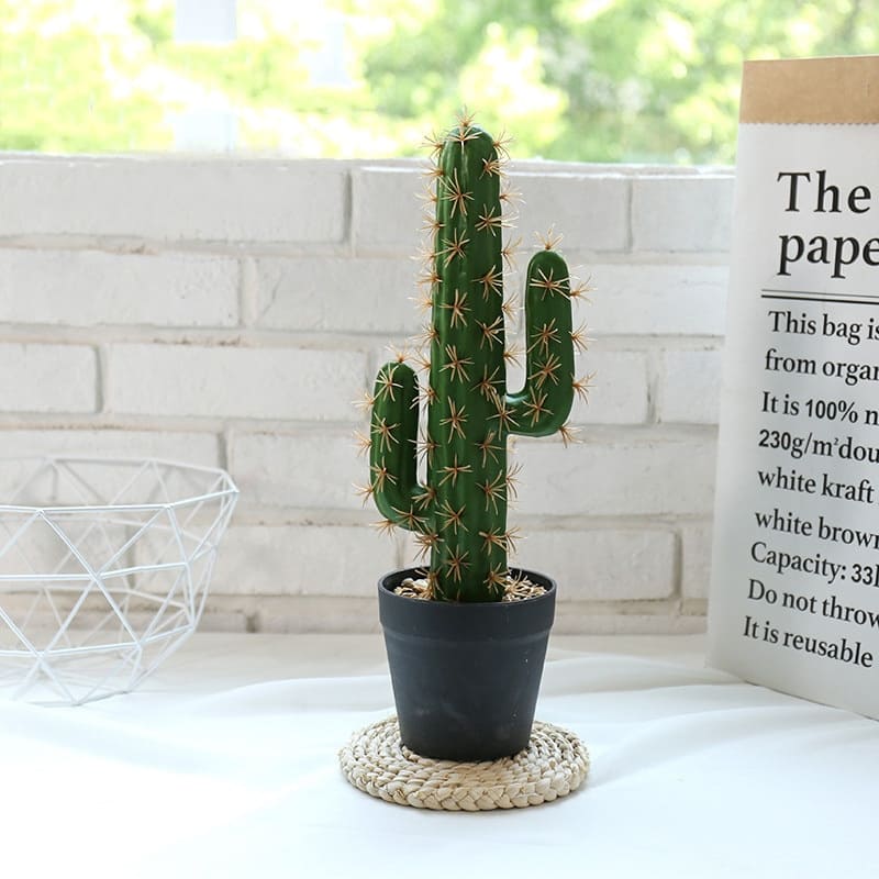 Petit Cactus Déco Intérieur