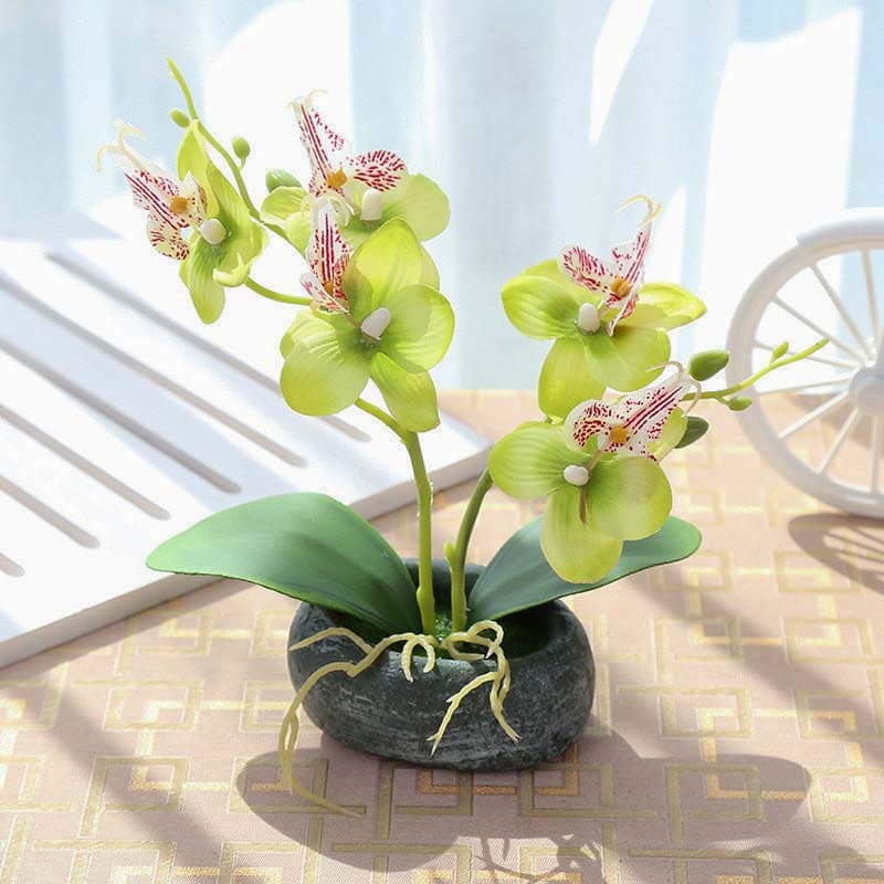 Petite Orchidée Vert Clair