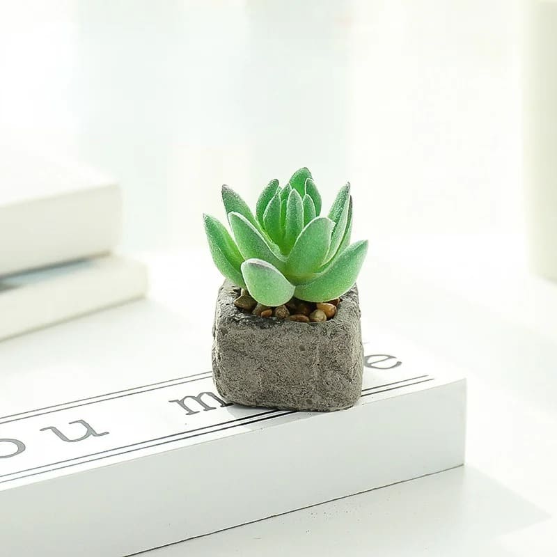 Petite Plante Grasse Artificielle Bureau