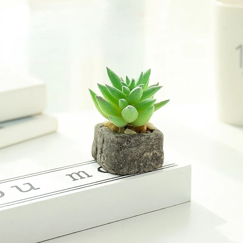 Petite Plante Grasse Artificielle Déco