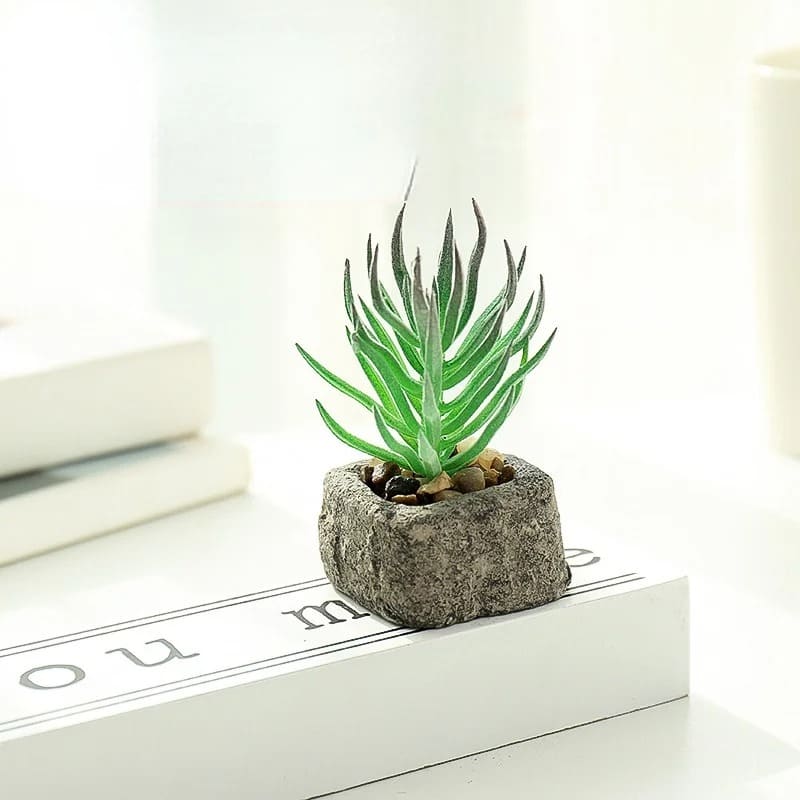 Petite Plante Grasse Artificielle Haut de Gamme